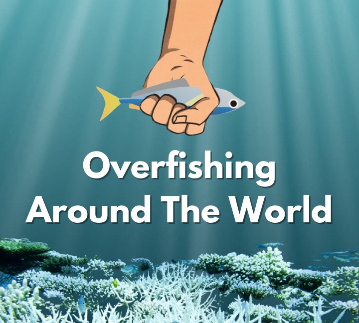 Overfishing around the world